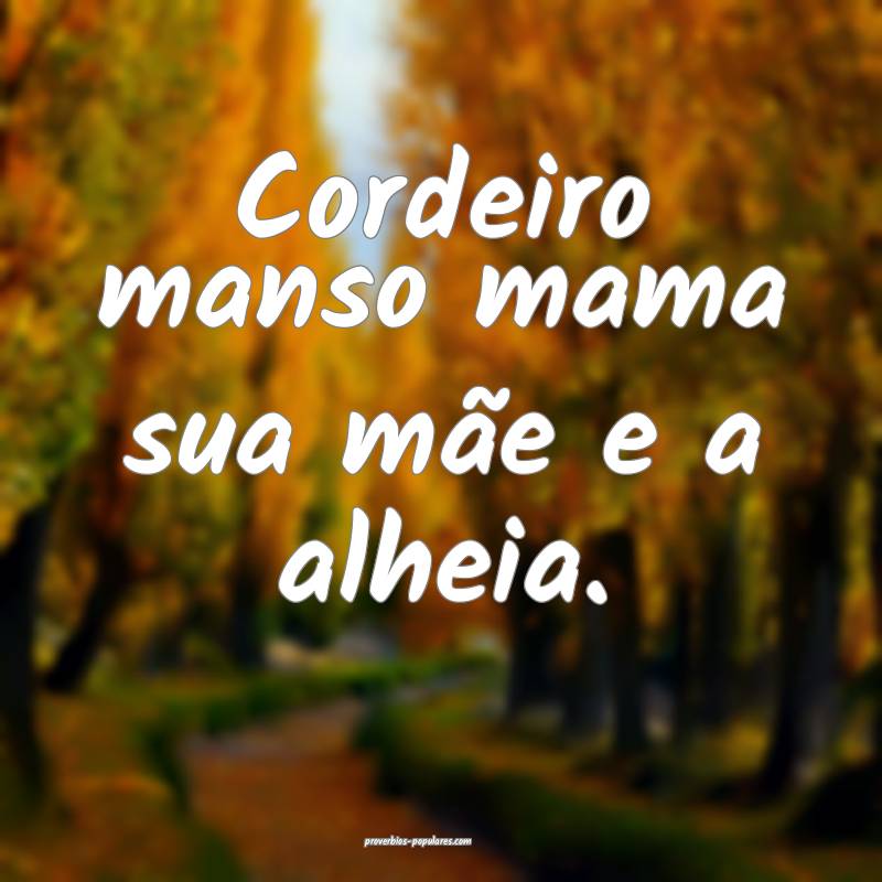Cordeiro manso mama sua mãe e a alheia.
...