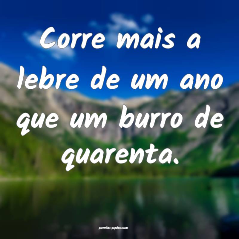 Corre mais a lebre de um ano que um burro de quarenta.
...