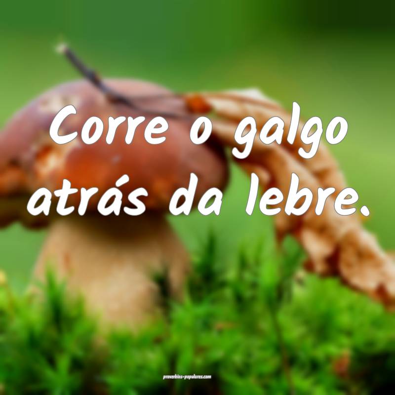 Corre o galgo atrás da lebre.
...