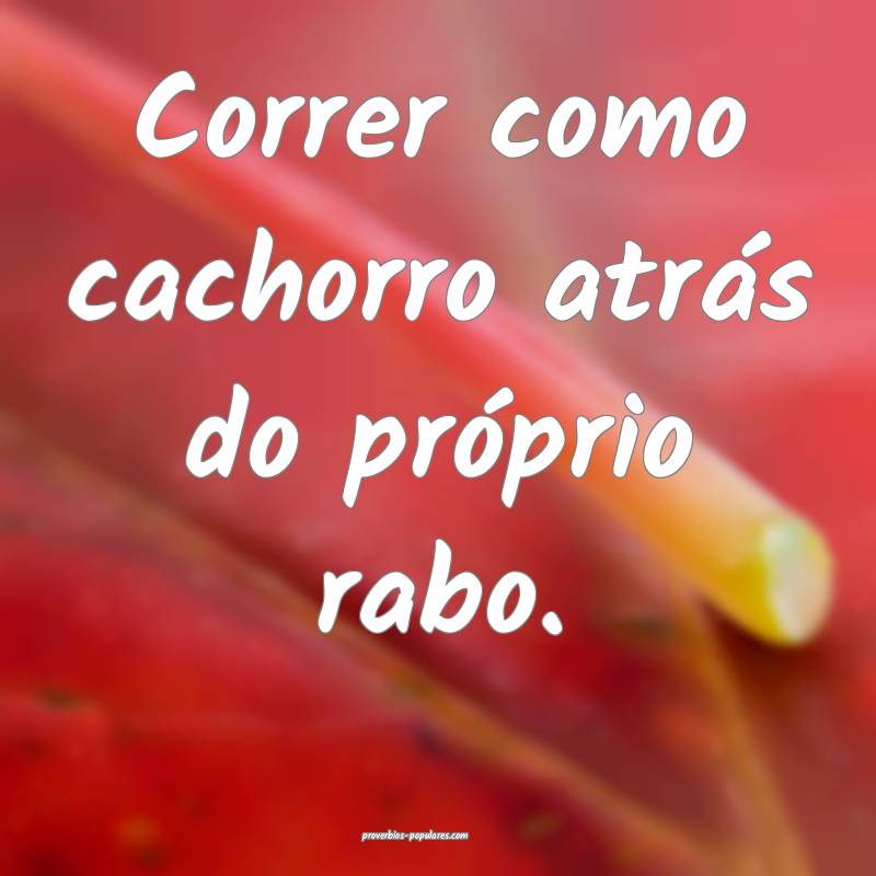Correr como cachorro atrás do próprio rabo.
...