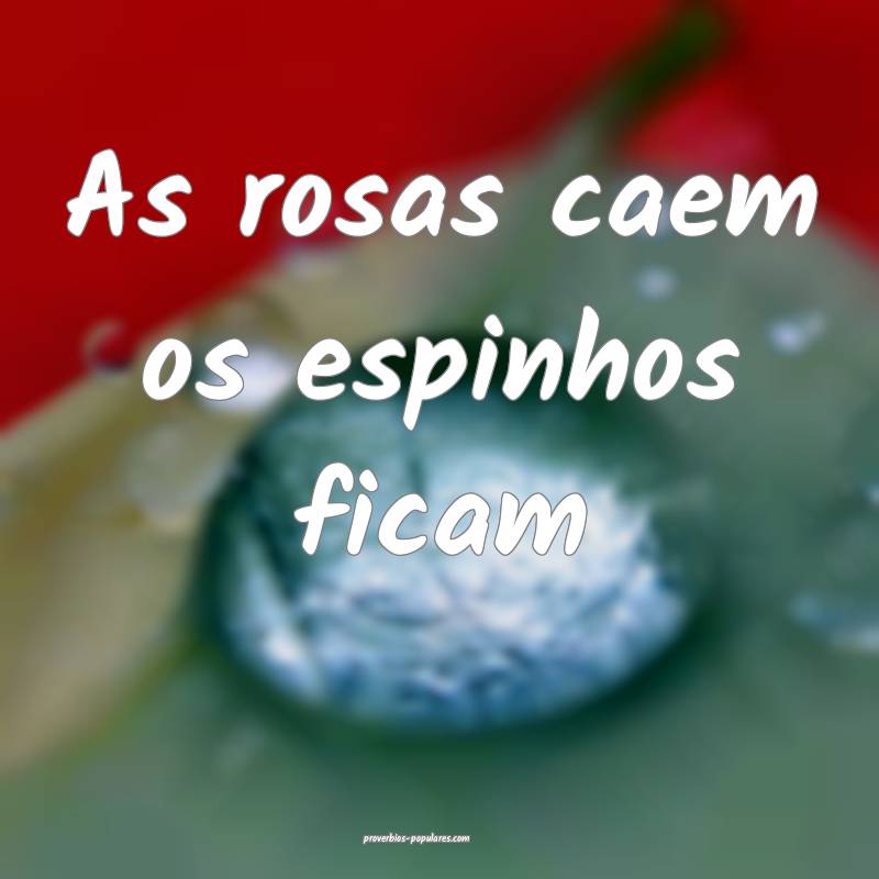 As rosas caem os espinhos ficam 
...