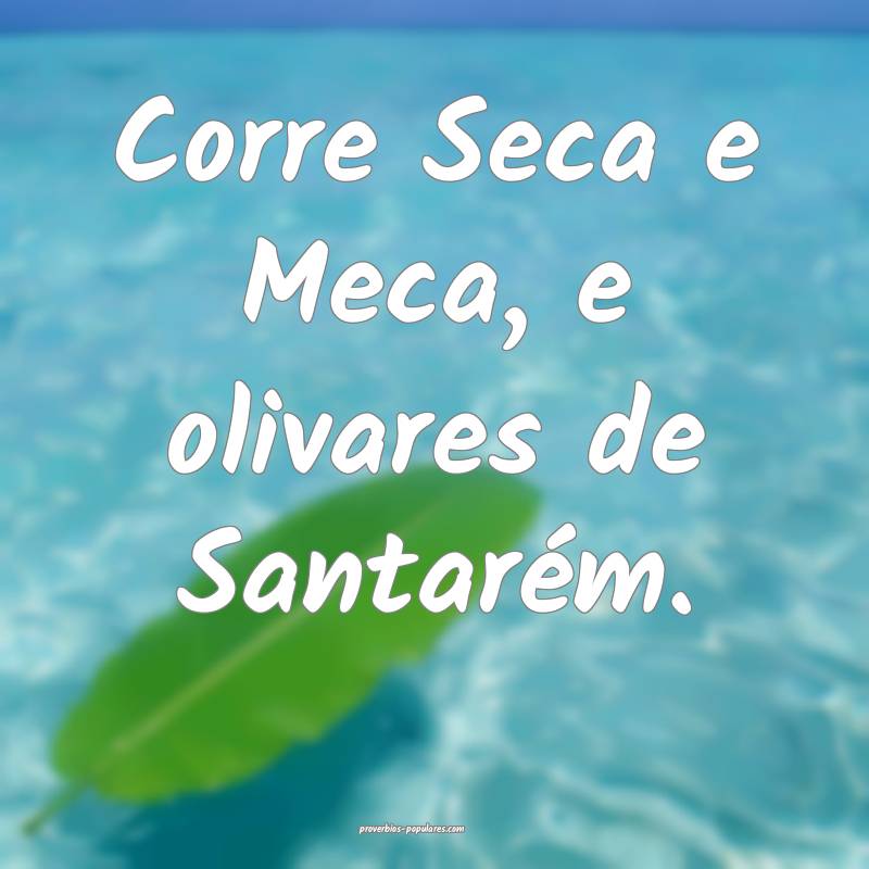 Corre Seca e Meca, e olivares de Santarém.
...