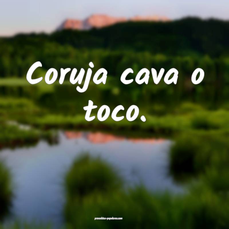 Coruja cava o toco.
...