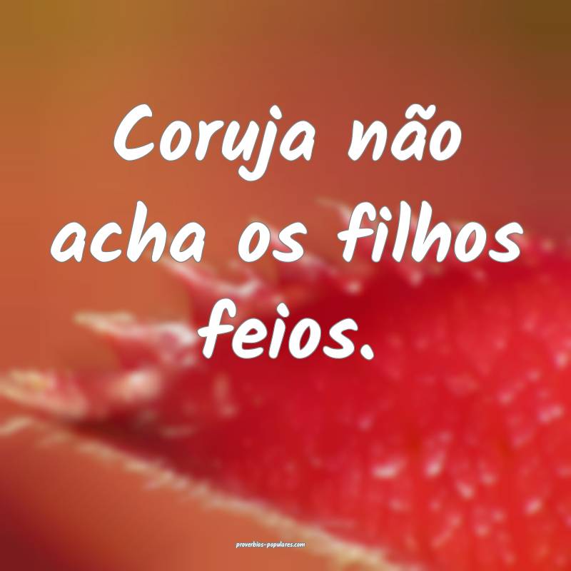 Coruja não acha os filhos feios.
...