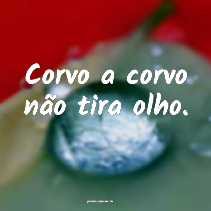 Corvo a corvo não tira olho.
...