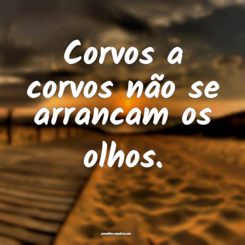 Corvos a corvos não se arrancam os olhos.
...