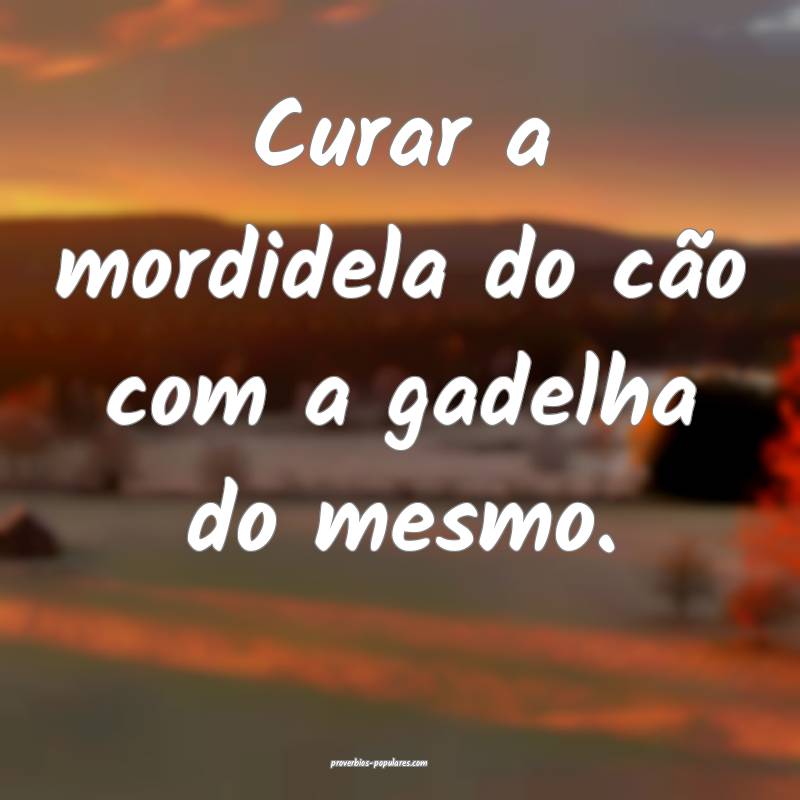 Curar a mordidela do cão com a gadelha do mesmo.
...