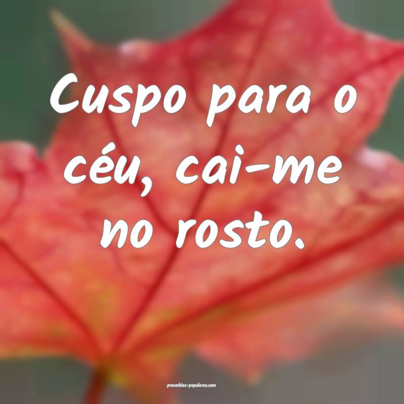 Cuspo para o céu, cai-me no rosto.
 ...
