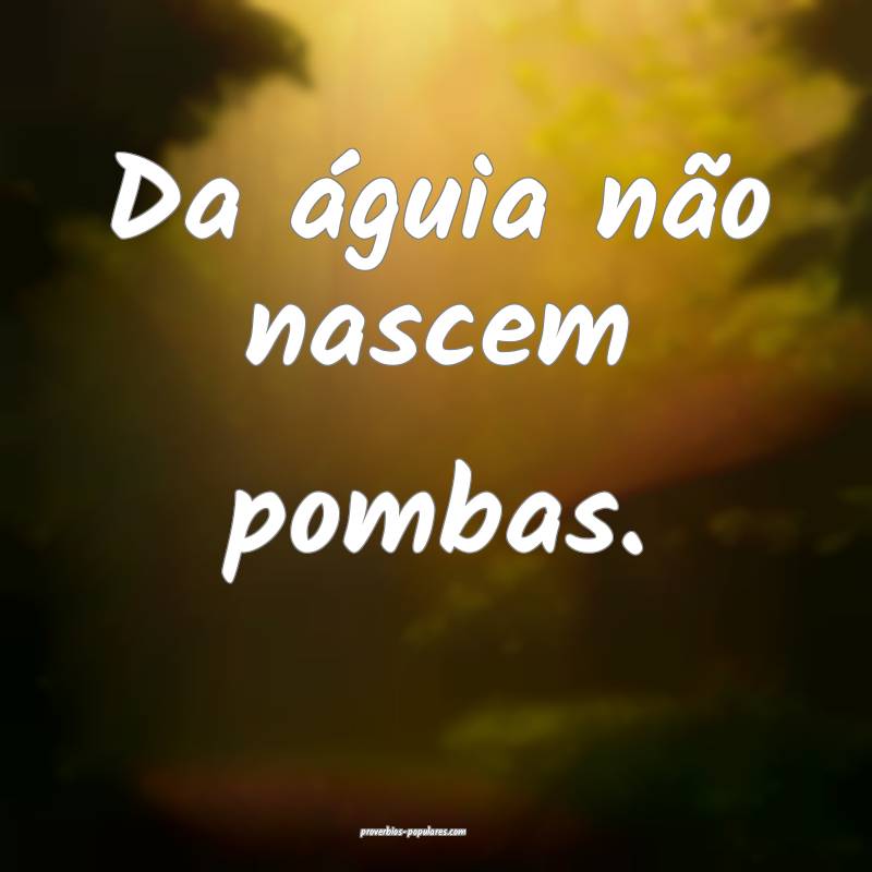 Da águia não nascem pombas.
...