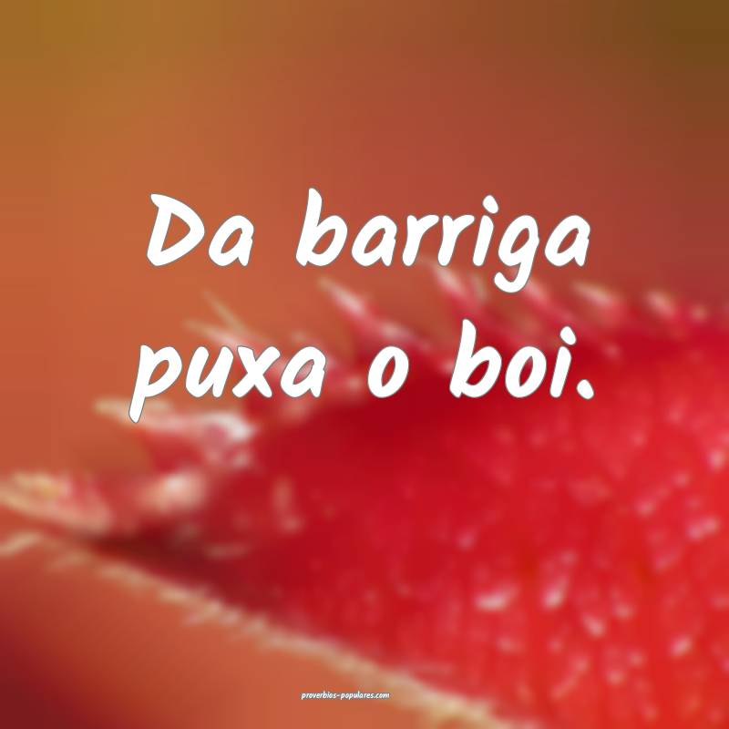 Da barriga puxa o boi.
 ...