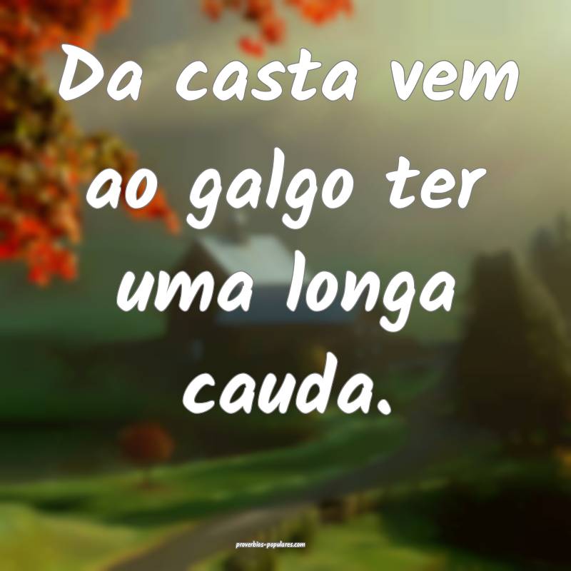 Da casta vem ao galgo ter uma longa cauda.
...