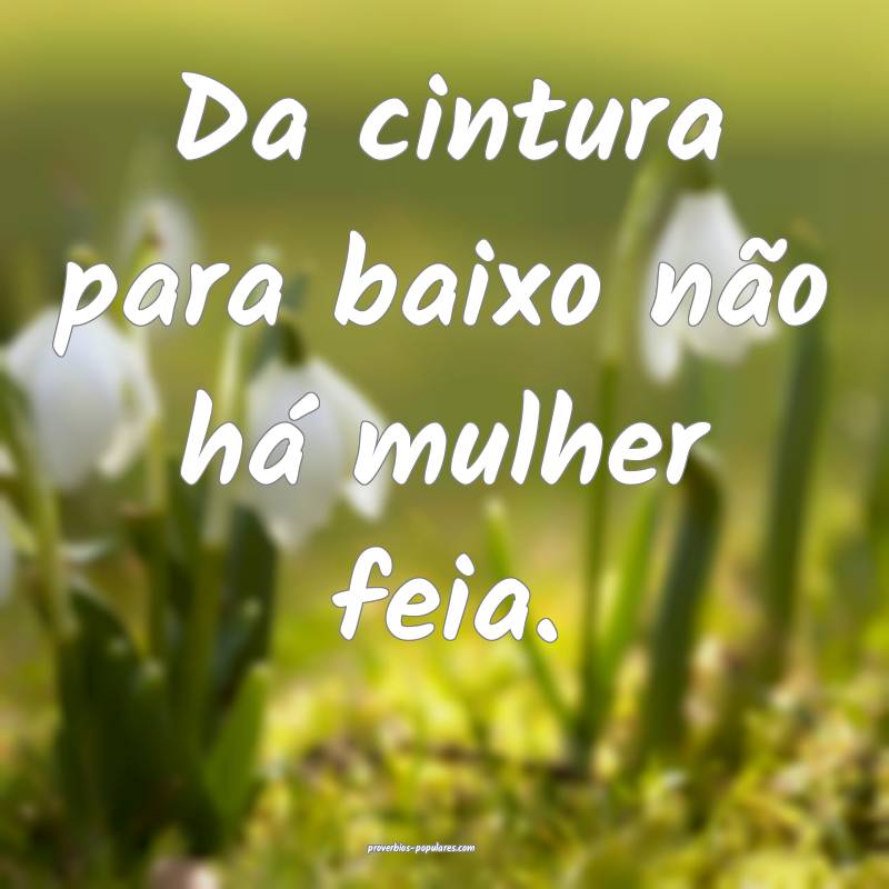 Da cintura para baixo não há mulher feia.
 ...