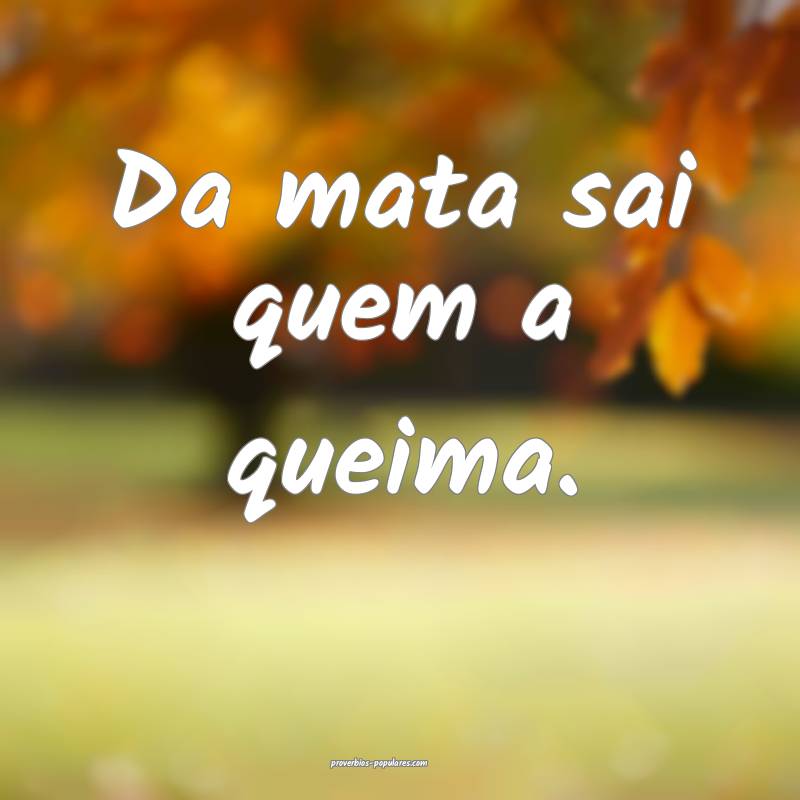 Da mata sai quem a queima.
...