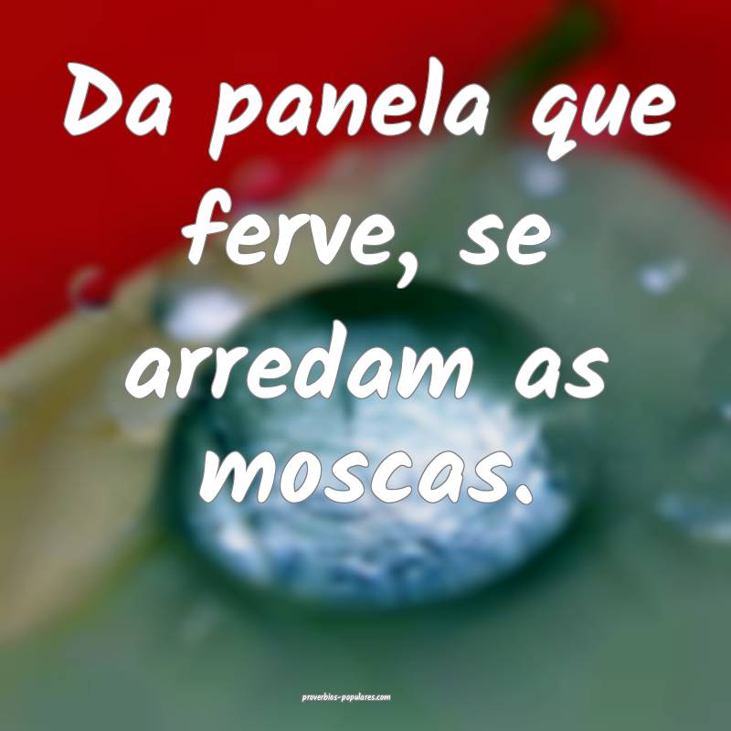 Da panela que ferve, se arredam as moscas.
...