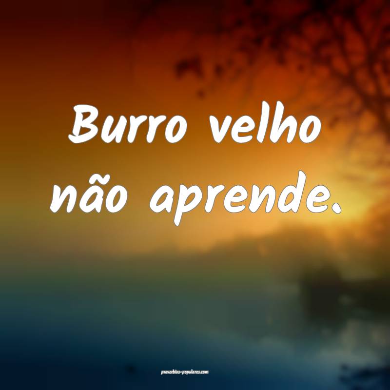 Burro velho não aprende. 
...