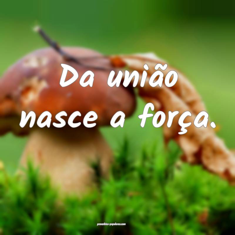 Da união nasce a força.
...