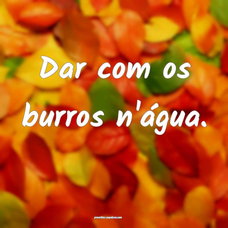 Dar com os burros n'água.
 ...