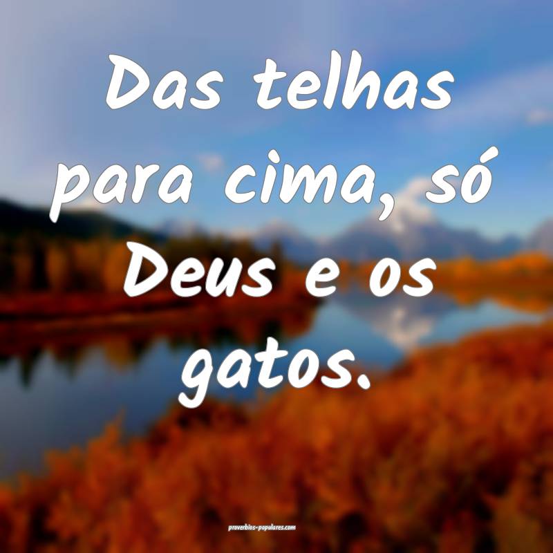 Das telhas para cima, só Deus e os gatos.
...