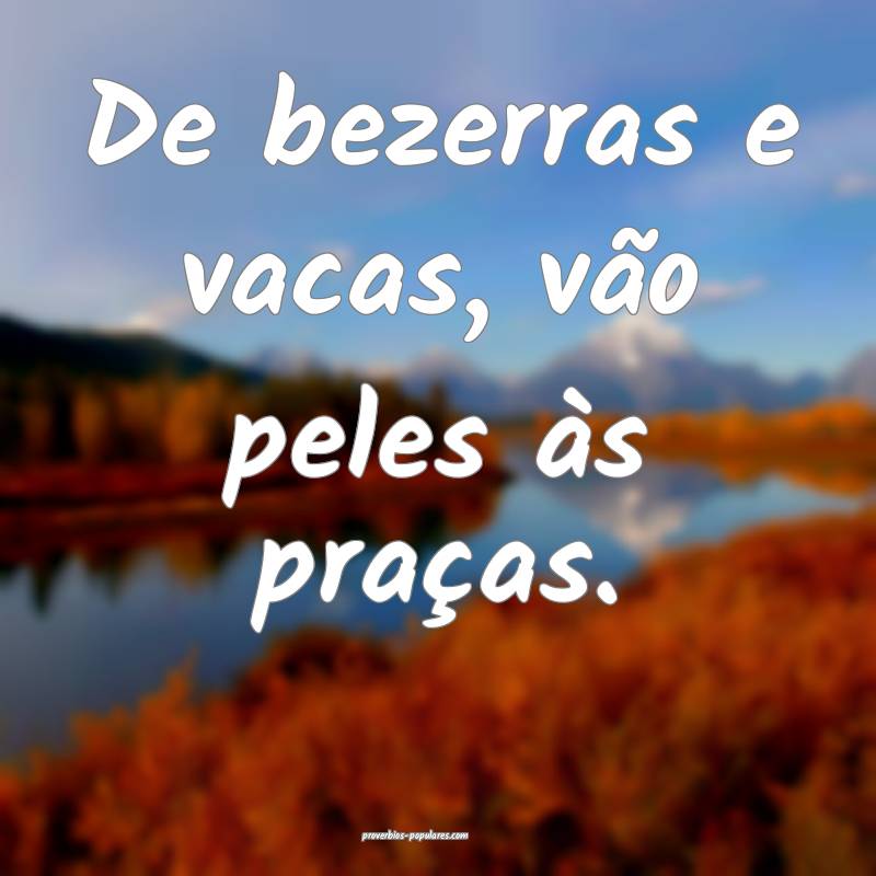 De bezerras e vacas, vão peles às praças.
...