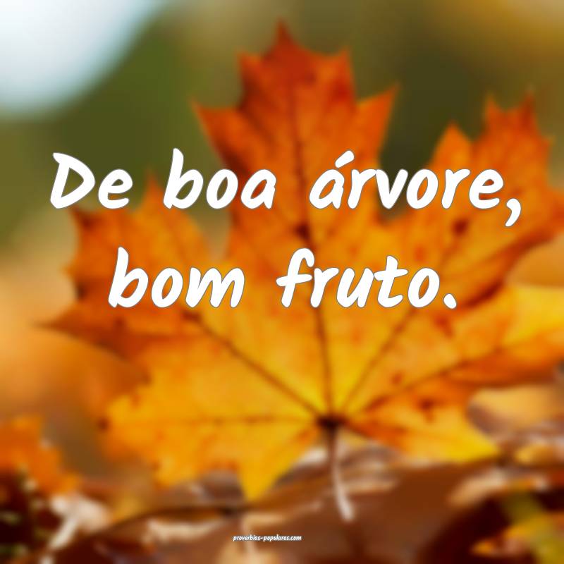 De boa árvore, bom fruto.
...