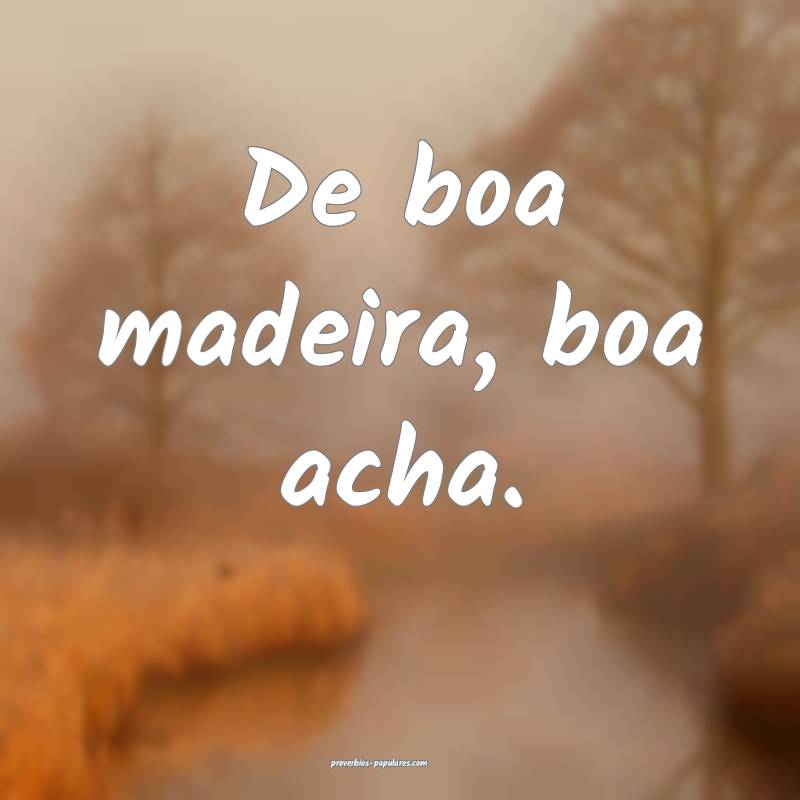 De boa madeira, boa acha.
...