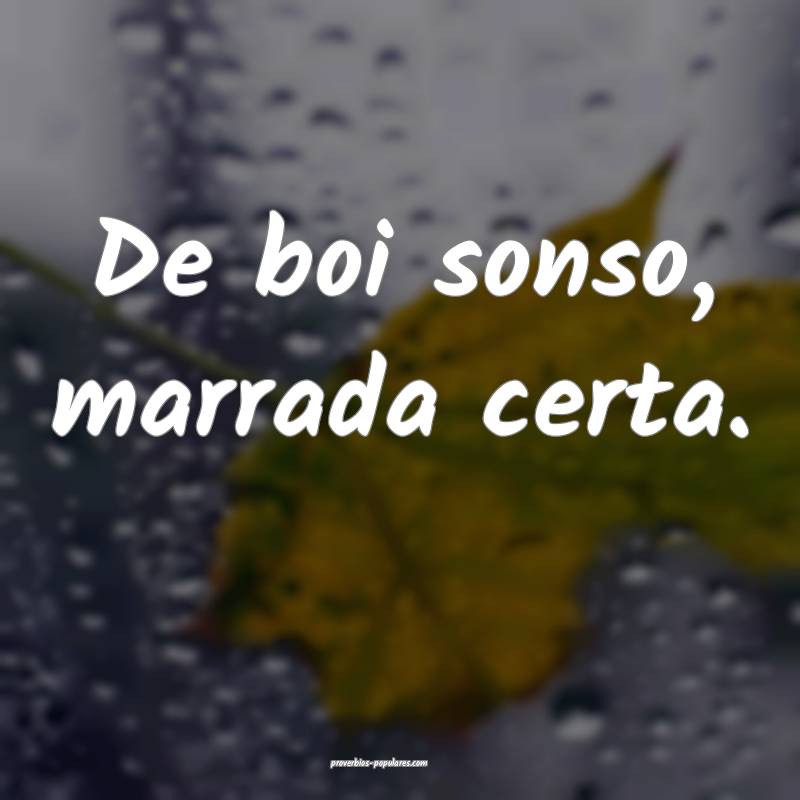 De boi sonso, marrada certa.
...