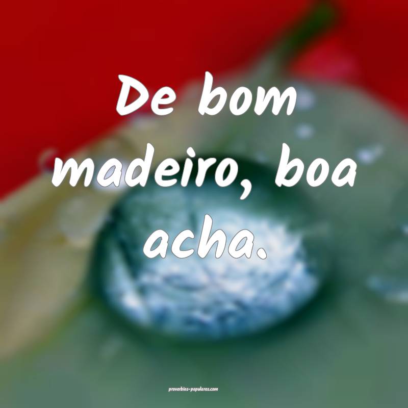 De bom madeiro, boa acha.
...