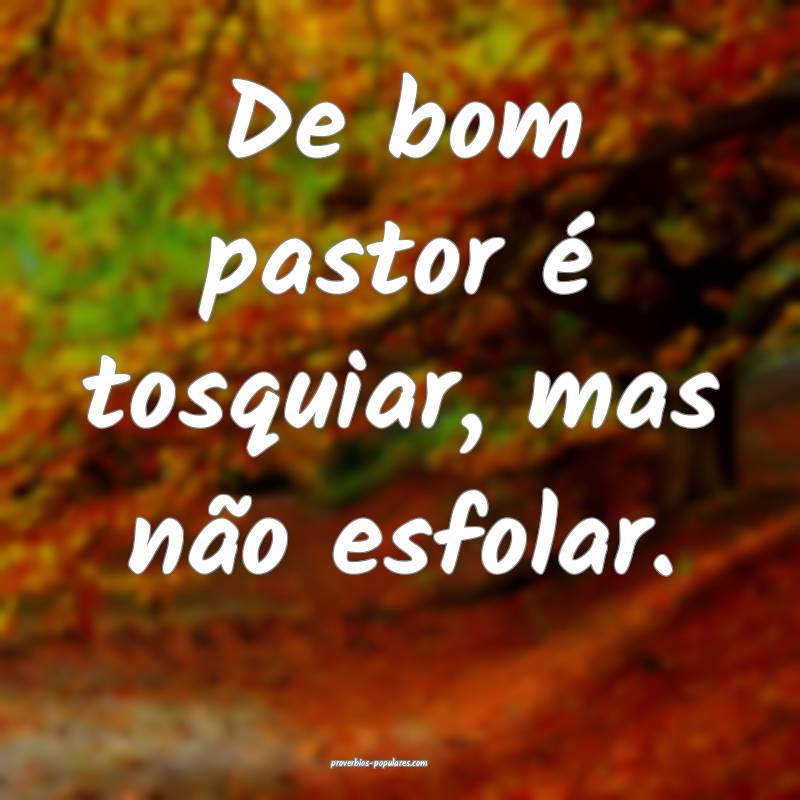 De bom pastor é tosquiar, mas não esfolar.
 ...