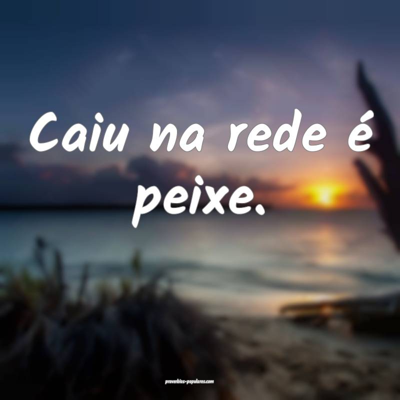 Caiu na rede é peixe. 
...