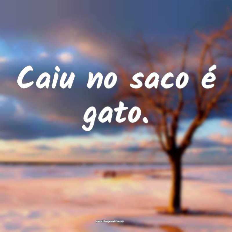 Caiu no saco é gato. 
 ...