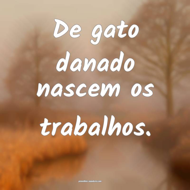 De gato danado nascem os trabalhos.
...