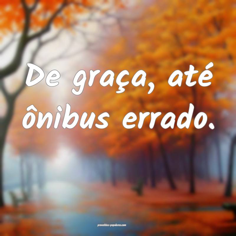 De graça, até ônibus errado.
...