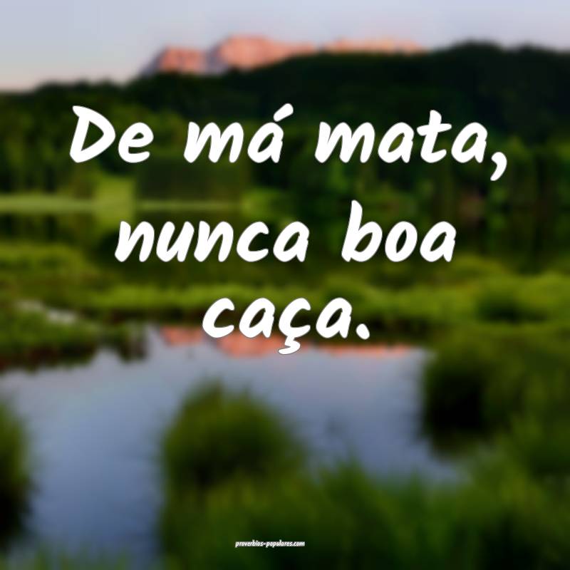 De má mata, nunca boa caça.
...