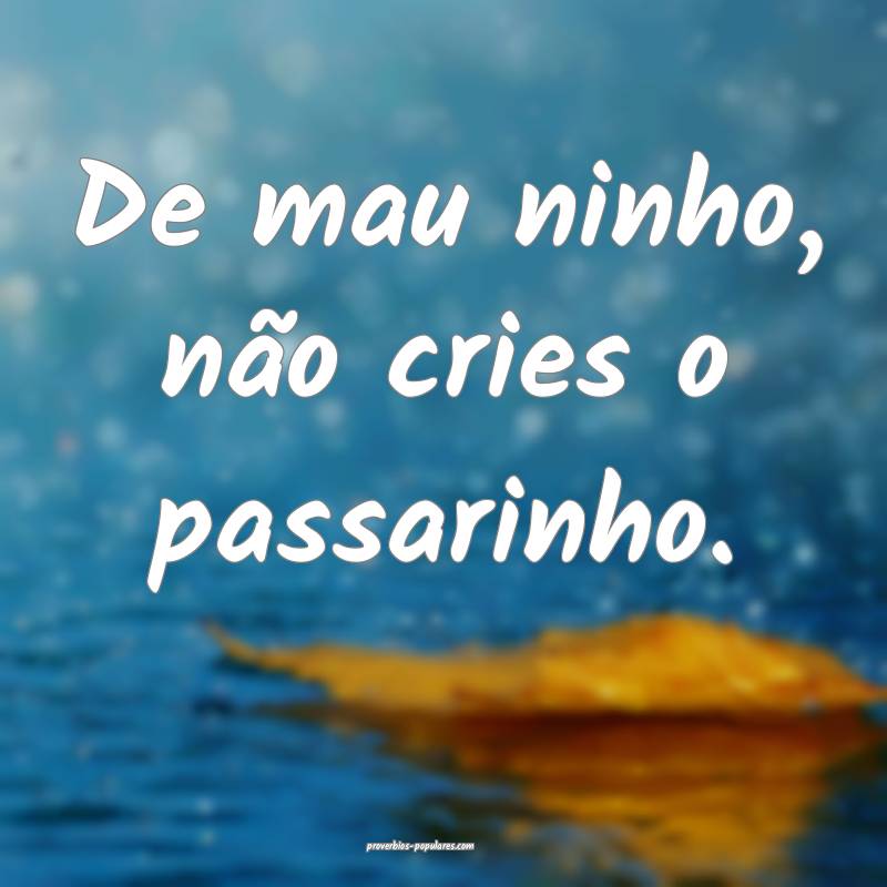 De mau ninho, não cries o passarinho.
...