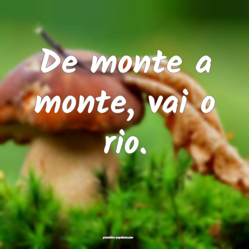 De monte a monte, vai o rio.
...