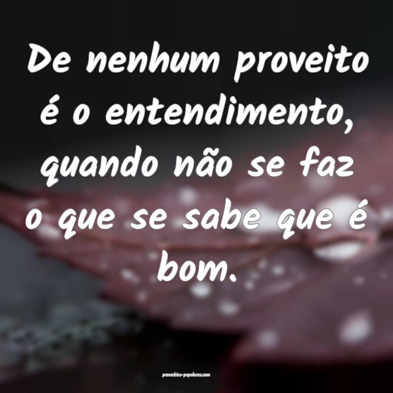 De nenhum proveito é o entendimento, quando não  ...