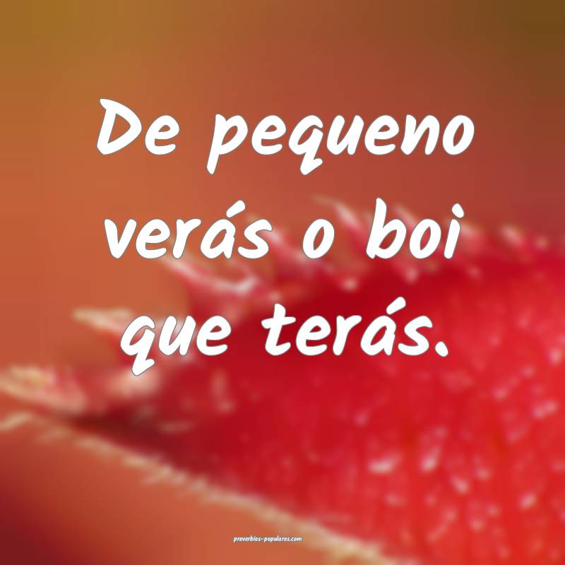 De pequeno verás o boi que terás.
...