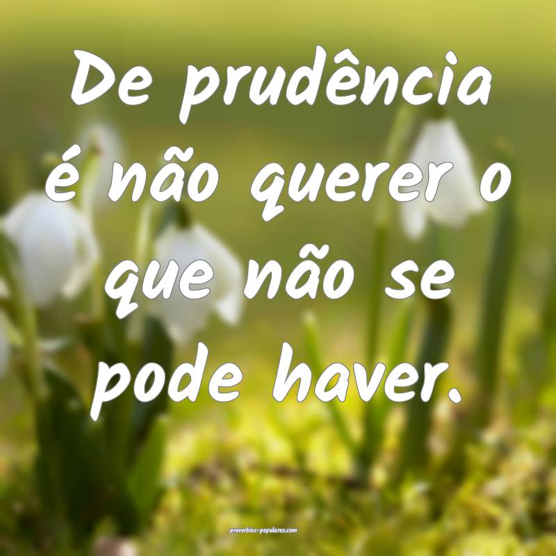 De prudência é não querer o que não se pode haver.
...