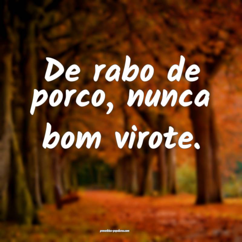 De rabo de porco, nunca bom virote.
...