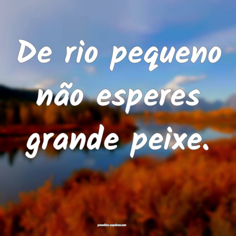 De rio pequeno não esperes grande peixe.
...