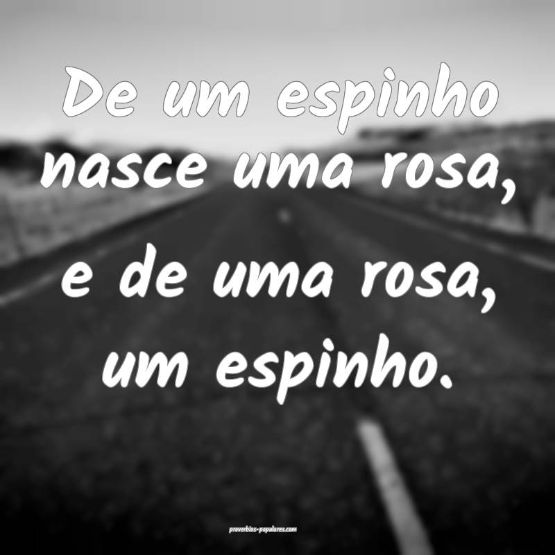 De um espinho nasce uma rosa, e de uma rosa, um espinho.
...