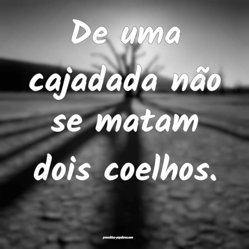 De uma cajadada não se matam dois coelhos.
 ...