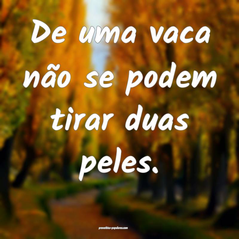 De uma vaca não se podem tirar duas peles.
...