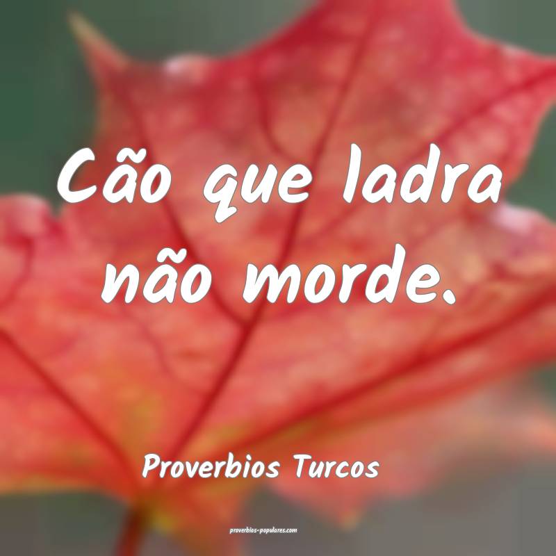 Cão que ladra não morde. 
...