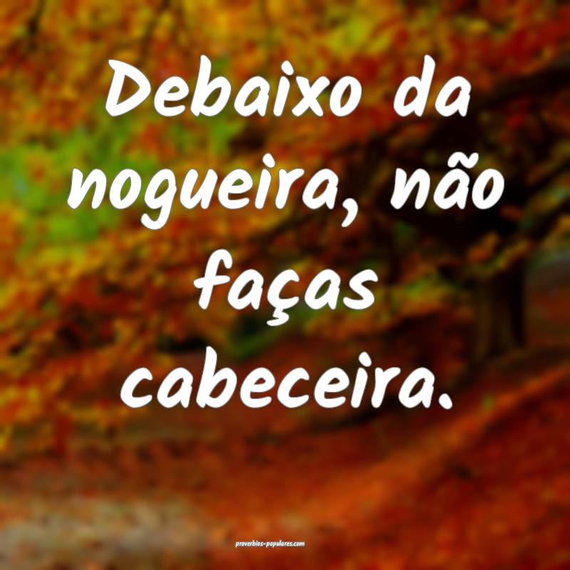 Debaixo da nogueira, não faças cabeceira.
 ...