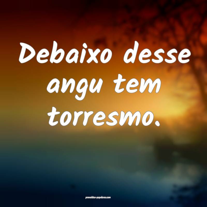 Debaixo desse angu tem torresmo.
...