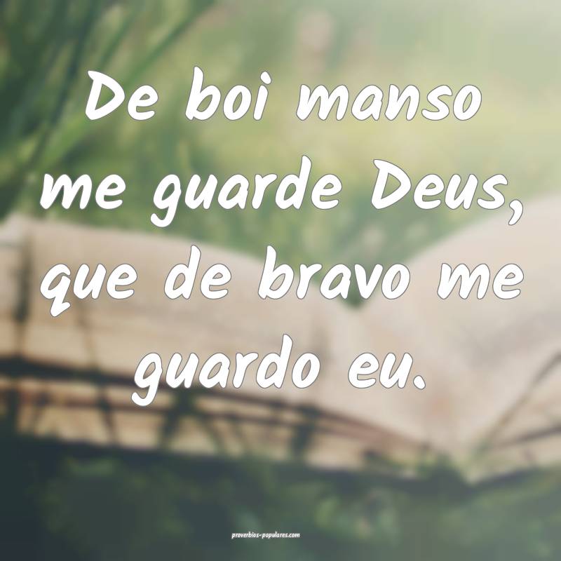 De boi manso me guarde Deus, que de bravo me guardo eu. 
...