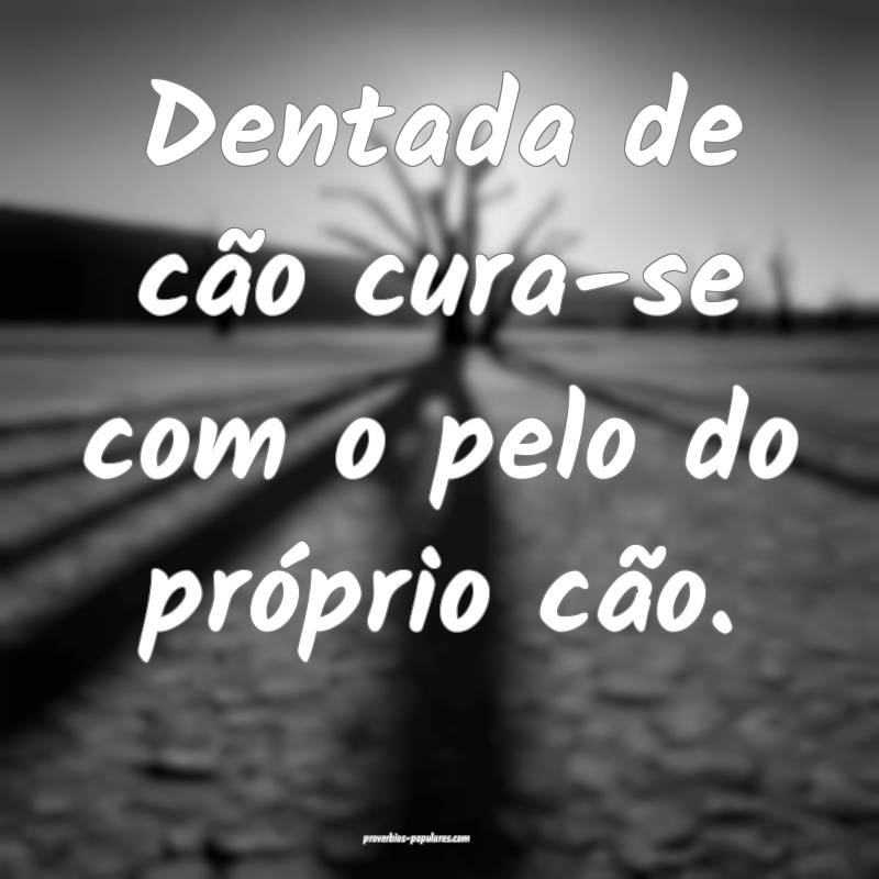 Dentada de cão cura-se com o pelo do próprio cã ...