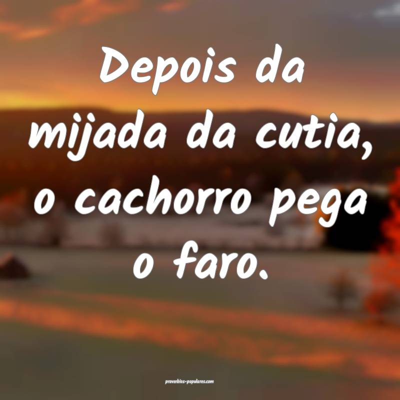 Depois da mijada da cutia, o cachorro pega o faro. ...