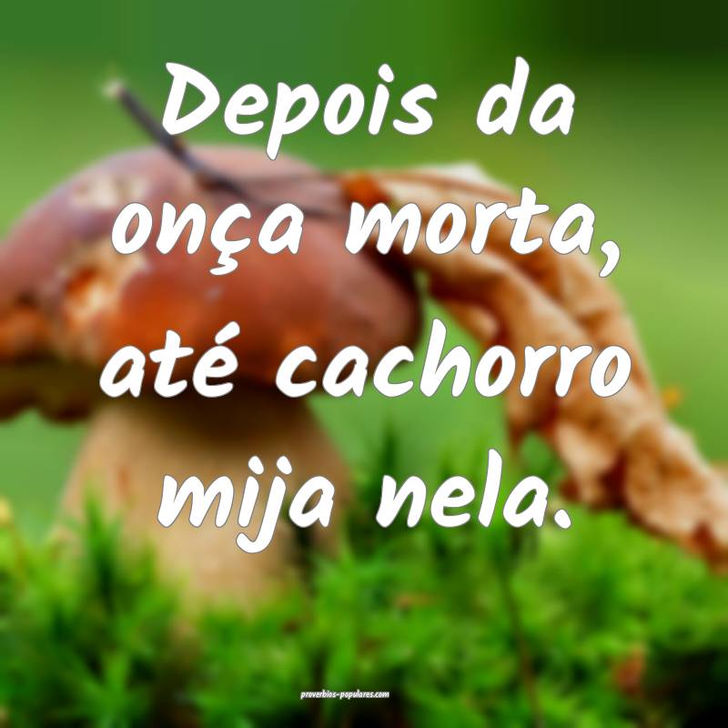 Depois da onça morta, até cachorro mija nela.
...